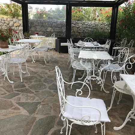 L'acqua Viva