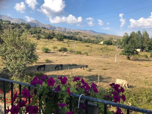 L'acqua Viva Hotel 3*